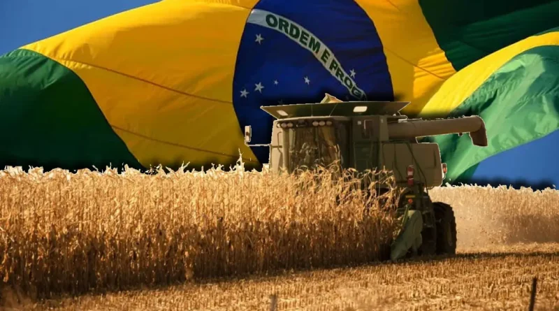Plano Safra 26/27 deve ampliar crédito privado