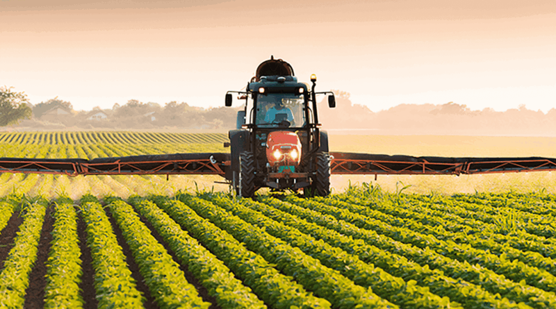 Governo avalia crédito subsidiado para fertilizantes no Plano Safra