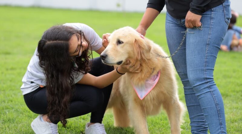 Aparecida realiza Mutirão da Inclusão para PcDs e autistas