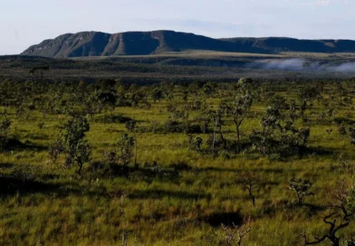 MP pode anular revisão que libera mineração na Chapada dos Veadeiros