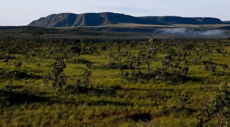 MP pode anular revisão que libera mineração na Chapada dos Veadeiros
