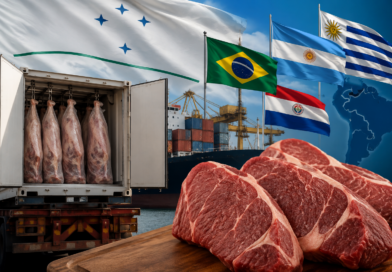 Abiec alerta para risco nas exportações de carne do Mercosul