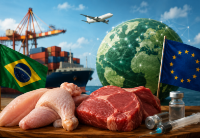 Brasil negocia com UE para evitar impacto nas exportações de carnes
