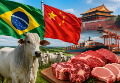 China reconhece Brasil como território livre de febre aftosa China reconhece Brasil como território livre de febre aftosa
