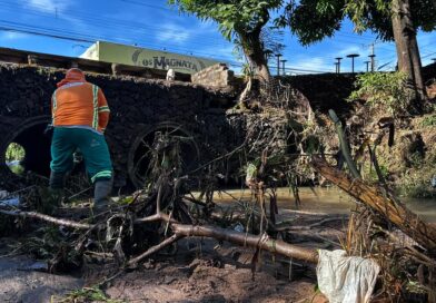 Temporal derruba árvores e mobiliza equipes da Comurg em Goiânia