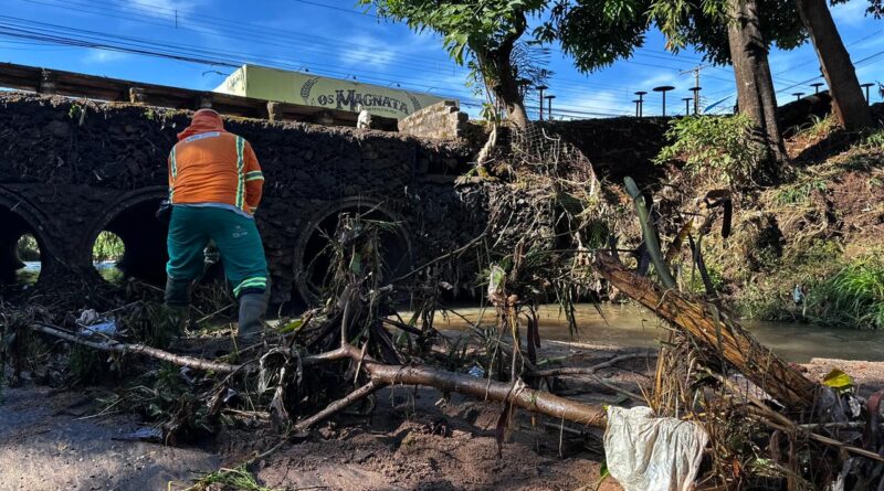 Temporal derruba árvores e mobiliza equipes da Comurg em Goiânia