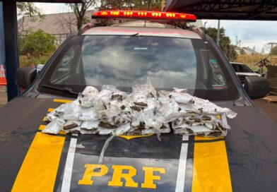 PRF apreende 10 kg de haxixe com passageiras na BR-060 PRF apreende 10 kg de haxixe com passageiras na BR-060