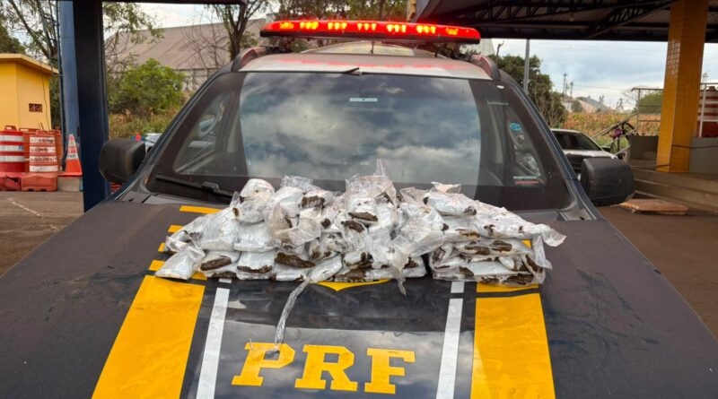 PRF apreende 10 kg de haxixe com passageiras na BR-060