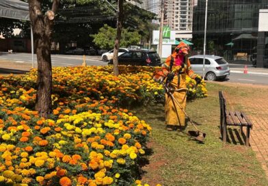 Goiânia amplia ações ambientais e fortalece áreas verdes