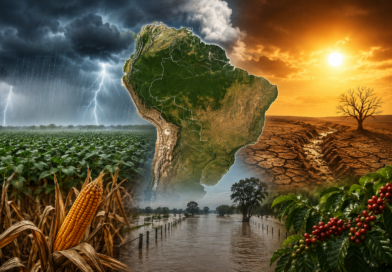 El Niño pode ser o mais forte desde 1950 e preocupa o agronegócio