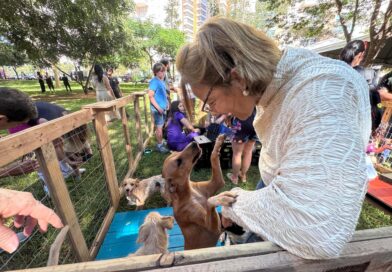 Goiânia oferece 1,5 mil vagas para castração gratuita de cães e gatos