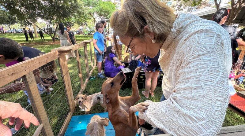 Goiânia oferece 1,5 mil vagas para castração gratuita de cães e gatos