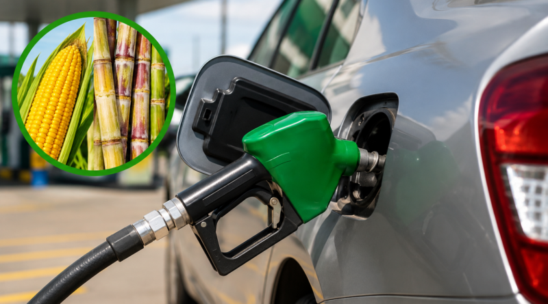 Governo aprova aumento da mistura de etanol na gasolina para 32%