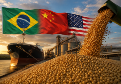 Soja brasileira ganha espaço na disputa entre China e EUA