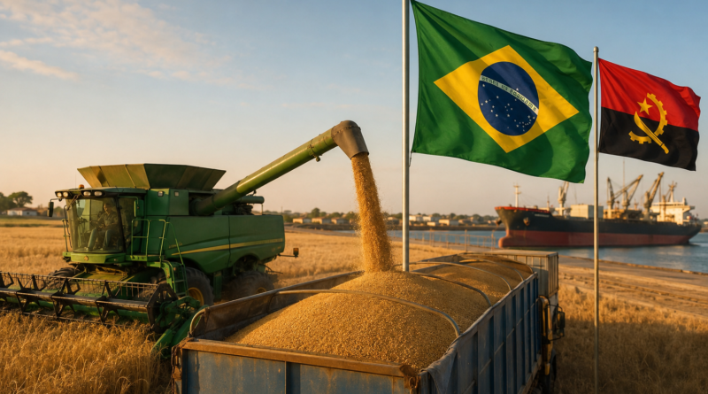 Angola ganha espaço como nova fronteira do agronegócio brasileiro Angola ganha espaço como nova fronteira do agronegócio brasileiro