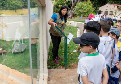 Goiânia orienta escolas contra calor intenso e baixa umidade