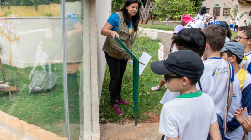 Goiânia orienta escolas contra calor intenso e baixa umidade