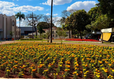 Comurg reforça cuidados com canteiros floridos durante seca