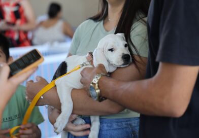 Aparecida celebra 1 ano do “Deu Match Com Meu Pet” com 250 adoções