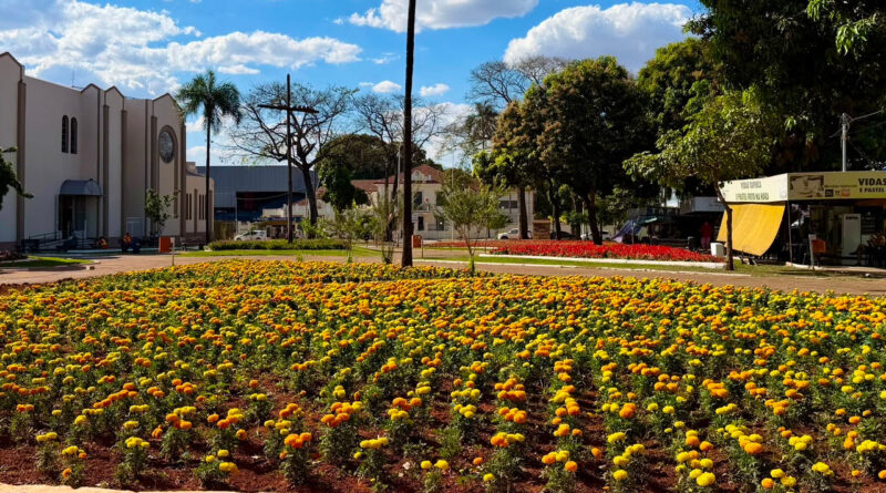 Comurg mapeia Goiânia para ampliar Projeto Florescer