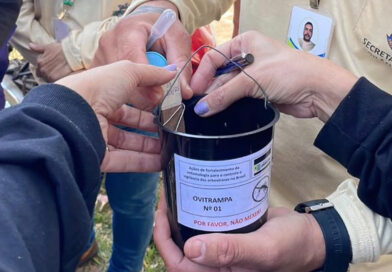 Aparecida instala 248 armadilhas para monitorar o Aedes aegypti