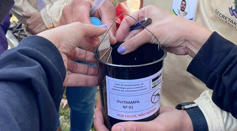 Aparecida instala 248 armadilhas para monitorar o Aedes aegypti