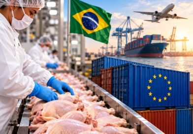 Paraná vê retomada das exportações de frango para a UE Paraná vê retomada das exportações de frango para a UE