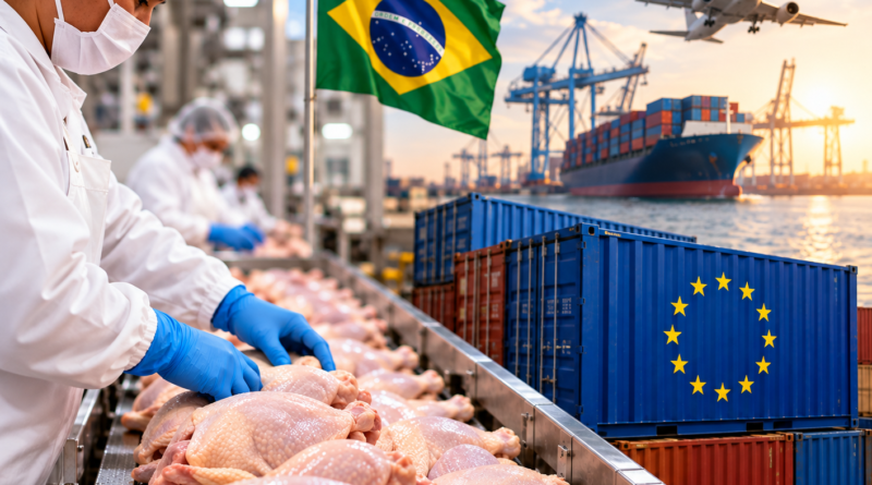 Paraná vê retomada das exportações de frango para a UE Paraná vê retomada das exportações de frango para a UE