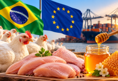 UE aprova qualidade da carne de aves e do mel do Brasil UE aprova qualidade da carne de aves e do mel do Brasil