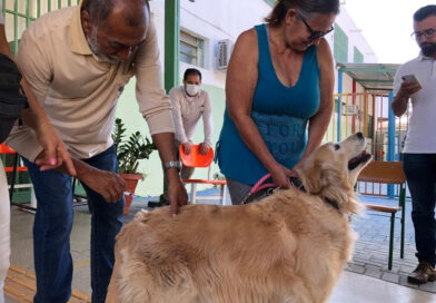 Goiânia realiza vacinação antirrábica gratuita em setembro Goiânia realiza vacinação antirrábica gratuita em setembro