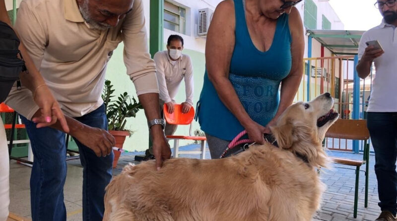 Goiânia realiza vacinação antirrábica gratuita em setembro