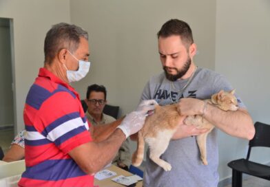 Aparecida realiza Dia D contra a raiva em 61 postos