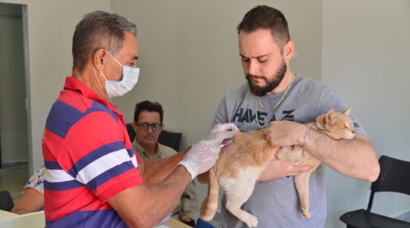 Aparecida realiza Dia D contra a raiva em 61 postos
