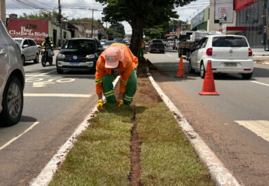 Prefeitura de Goiânia planta 104,9 mil m² de grama em 2026