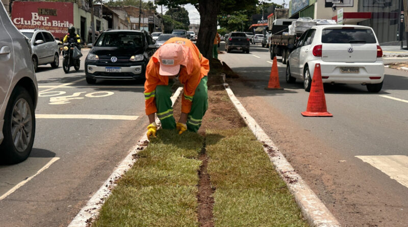 Prefeitura de Goiânia planta 104,9 mil m² de grama em 2026