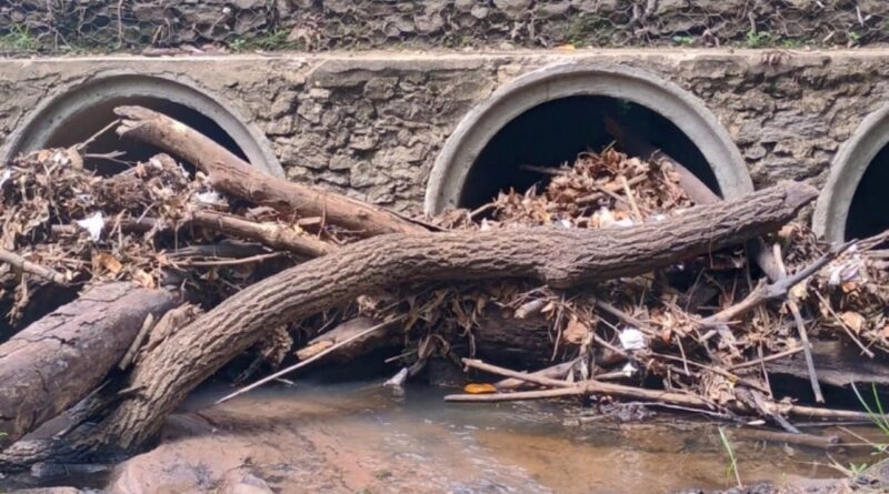 Goiânia limpa 213 bueiros e pontes para prevenir alagamentos